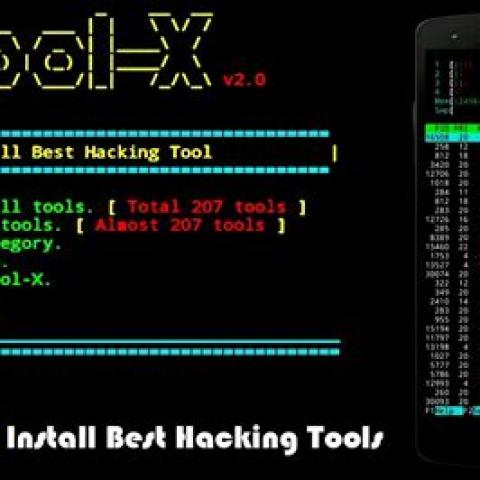 What Are the Best Ethical Hacking Tools for Beginners?